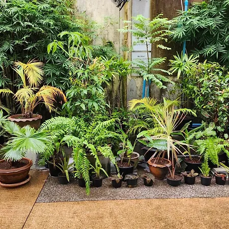 Irest Ao Nang Hostel-2